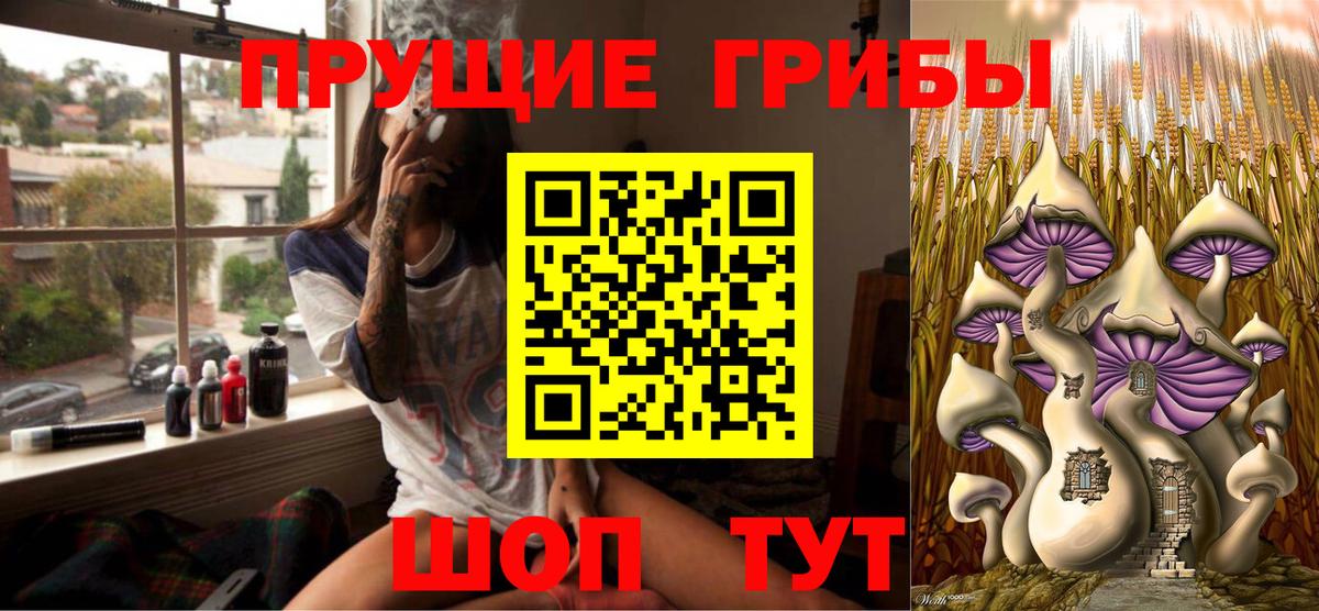 Псилоцибиновые грибы Cubensis Югорск