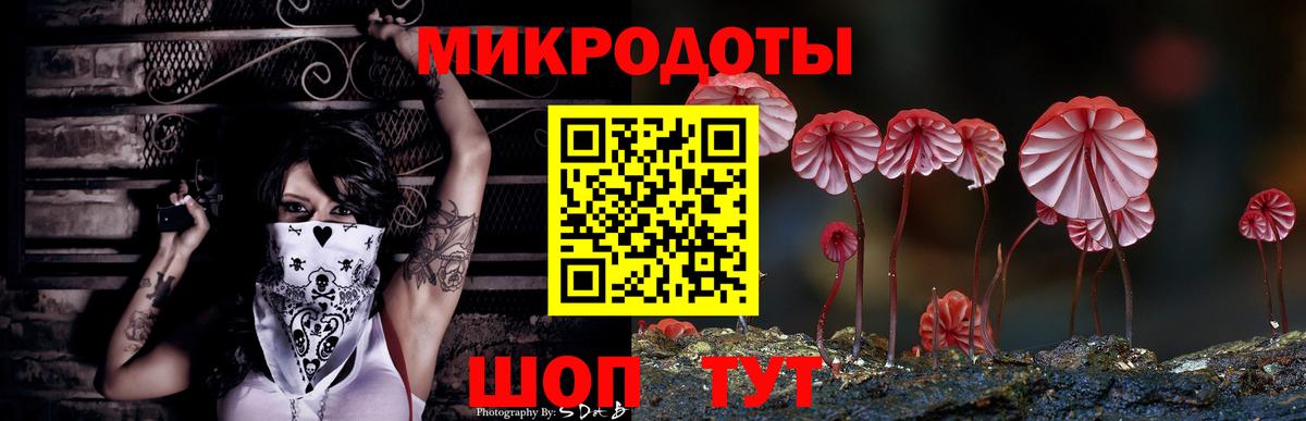 Псилоцибиновые грибы мицелий  Вход с VPN  Галлюциногенные грибы Psilocybe  купить наркоту  Югорск 